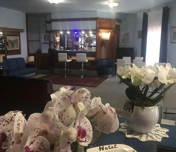 酒店 杜托利酒店 3*