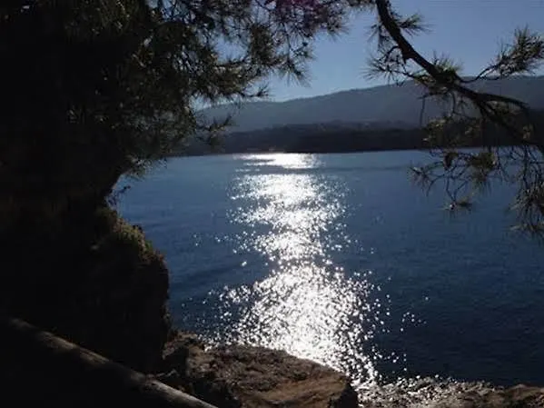 酒店 杜托利酒店 阿祖罗港